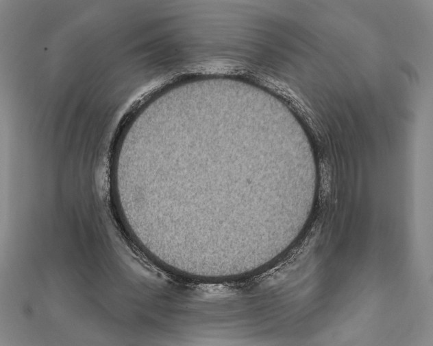 X0000111590392200908271013