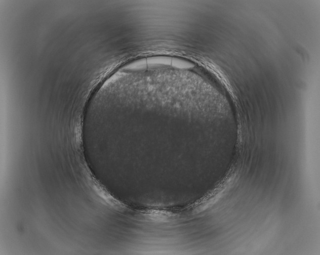 X0000111590393200908271013