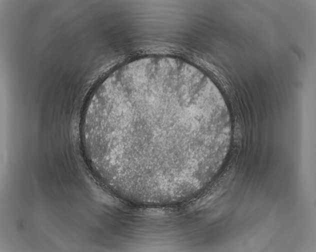 X0000111590394200908271013