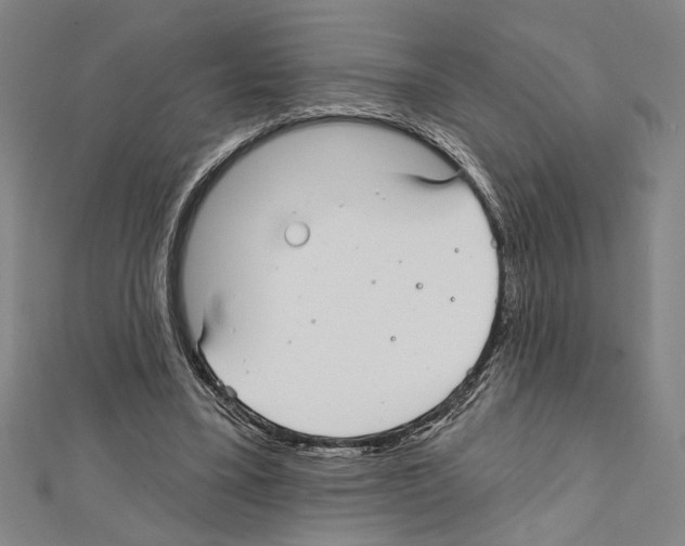 X0000111590395200908271013