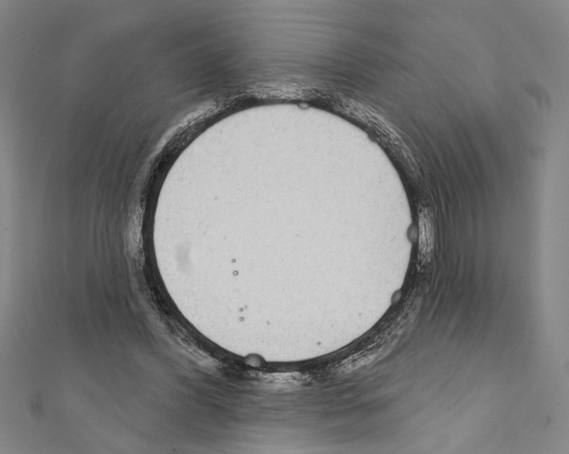 X0000111590396200908271013
