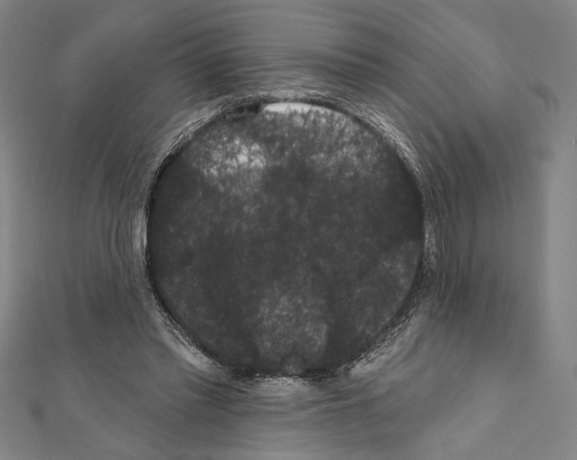 X0000111590397200908271013