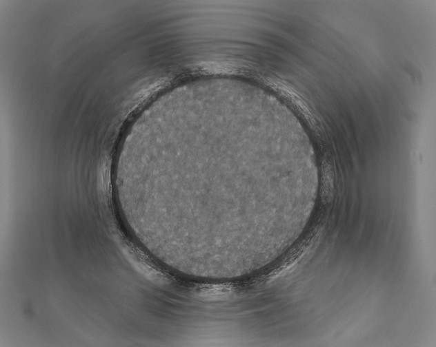 X0000111590398200908271013