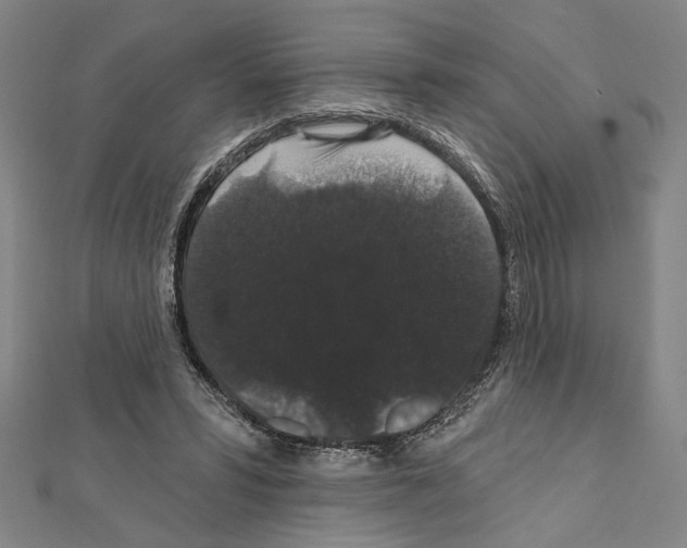 X0000111590399200908271013