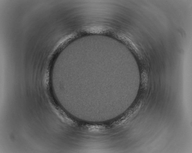 X0000111590400200908271013