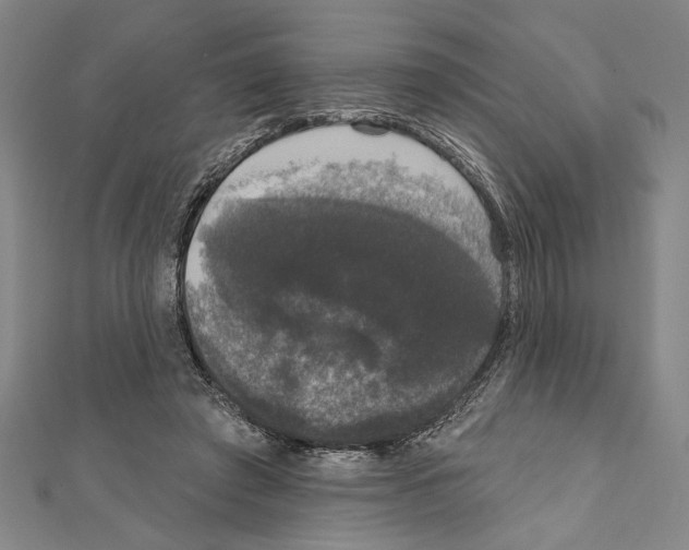 X0000111590401200908271013