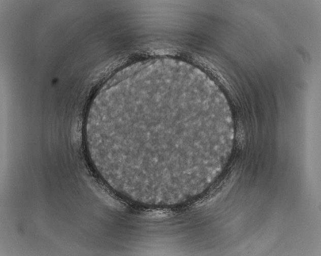 X0000111590402200908271013