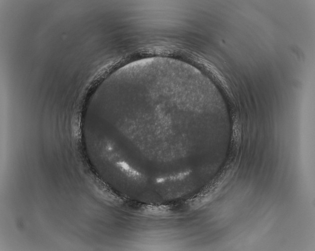 X0000111590403200908271013