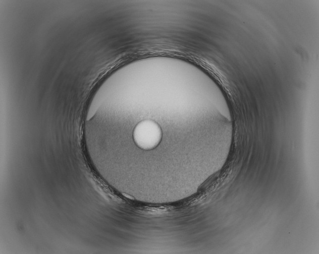 X0000111590405200908271013
