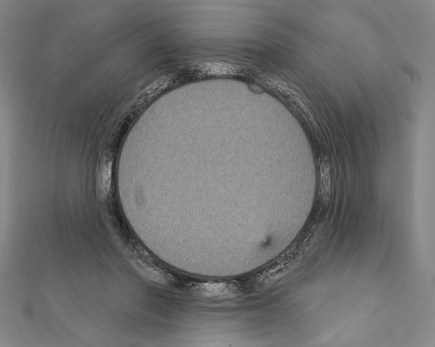 X0000111590406200908271013