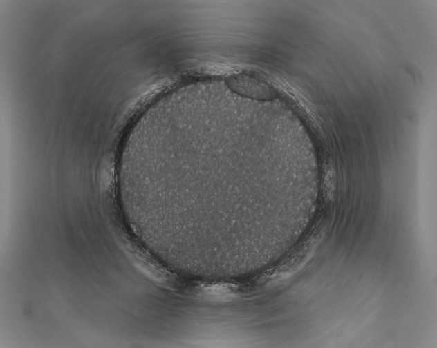 X0000111590407200908271013