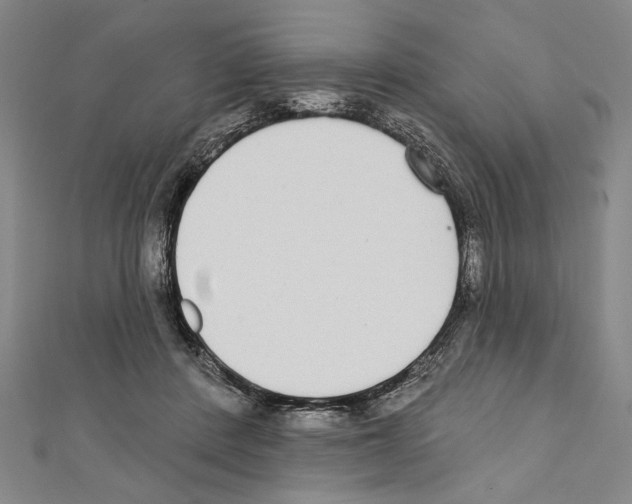 X0000111590408200908271013