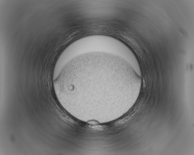 X0000111590409200908271013