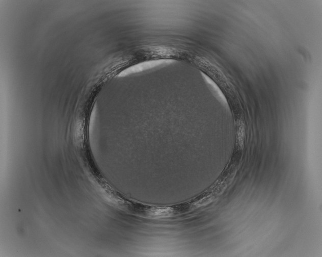 X0000111590410200908271013
