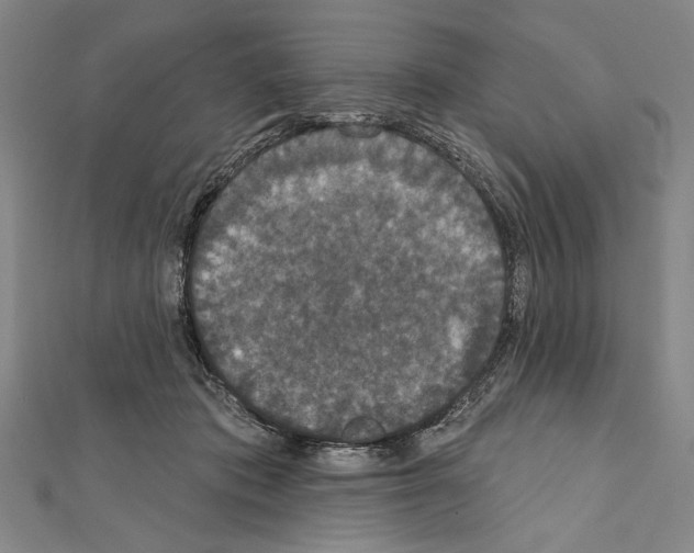 X0000111590413200908271013