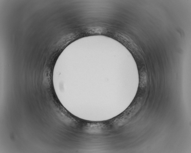 X0000111590414200908271013