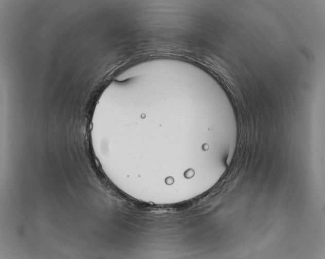 X0000111590415200908271013