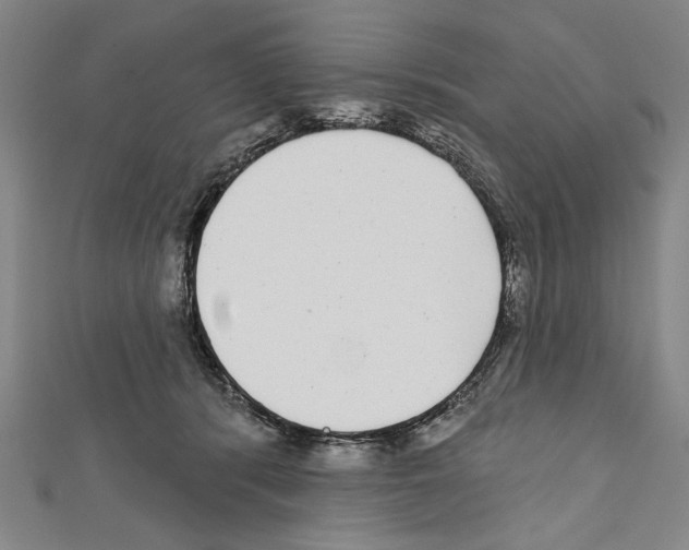 X0000111590416200908271013