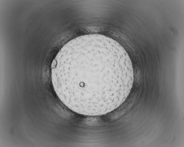 X0000111590418200908271013