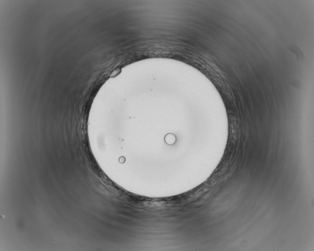 X0000111590419200908271013