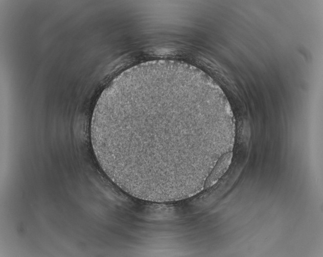 X0000111590421200908271013