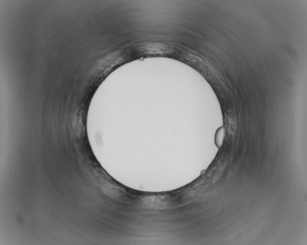 X0000111590422200908271013
