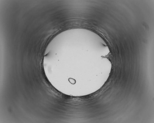X0000111590423200908271013