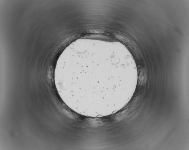 X0000111590424200908271013