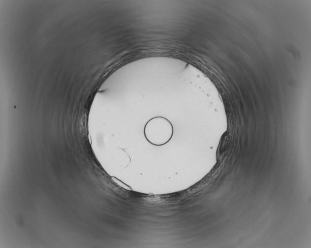 X0000111590425200908271013