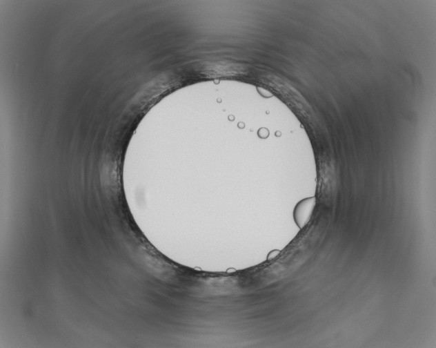 X0000111590426200908271013