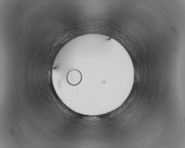 X0000111590427200908271013