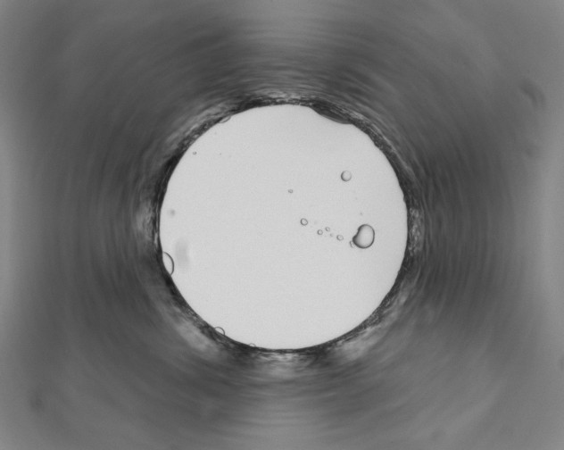 X0000111590428200908271013