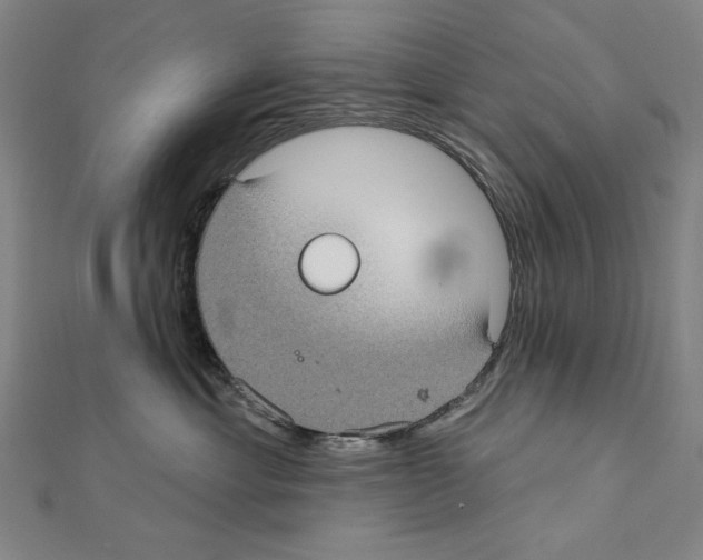 X0000111590429200908271013