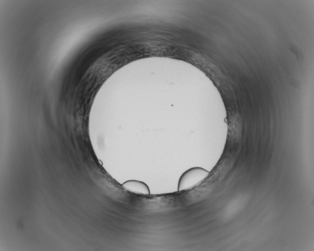X0000111590430200908271013