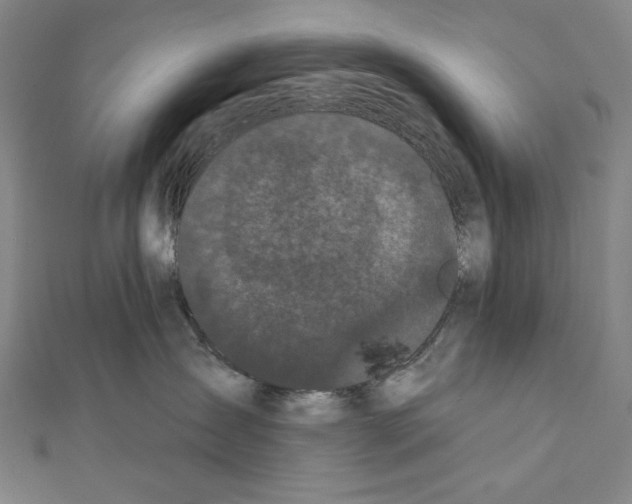 X0000111590431200908271013