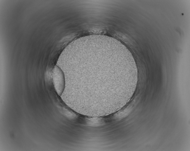 X0000111590432200908271013