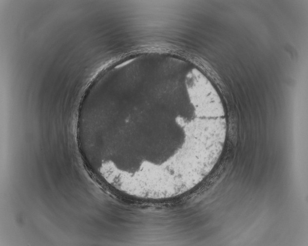 X0000111590434200908271012