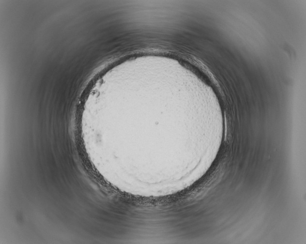 X0000111590435200908271012