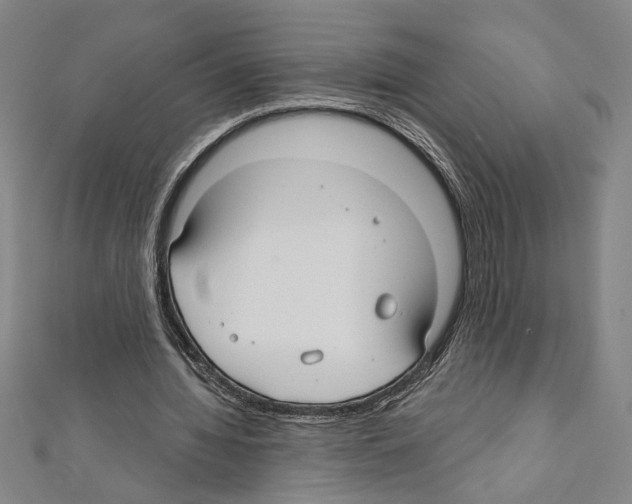 X0000111590436200908271012