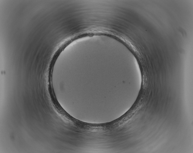 X0000111590438200908271012