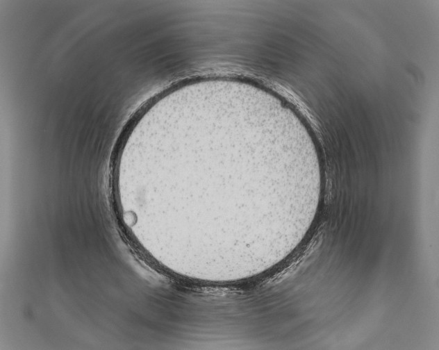 X0000111590439200908271012