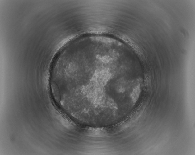X0000111590440200908271012