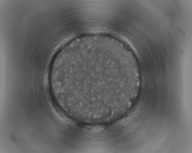 X0000111590443200908271012