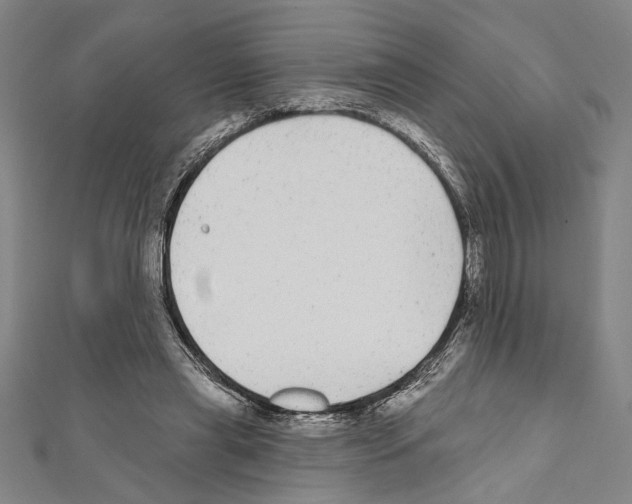 X0000111590445200908271012