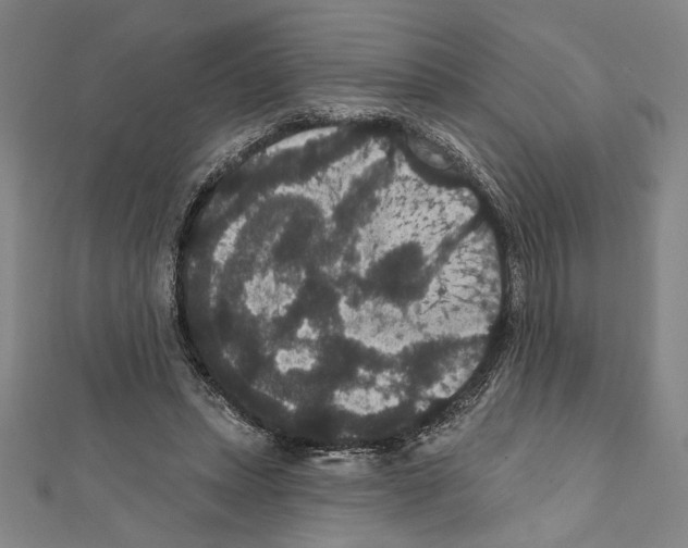 X0000111590447200908271012