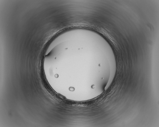X0000111590448200908271012