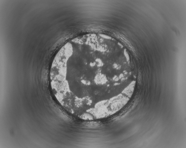 X0000111590449200908271012