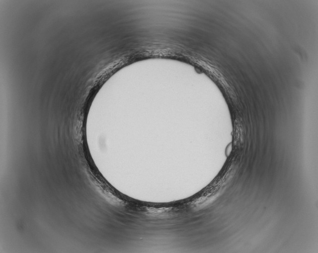 X0000111590450200908271012