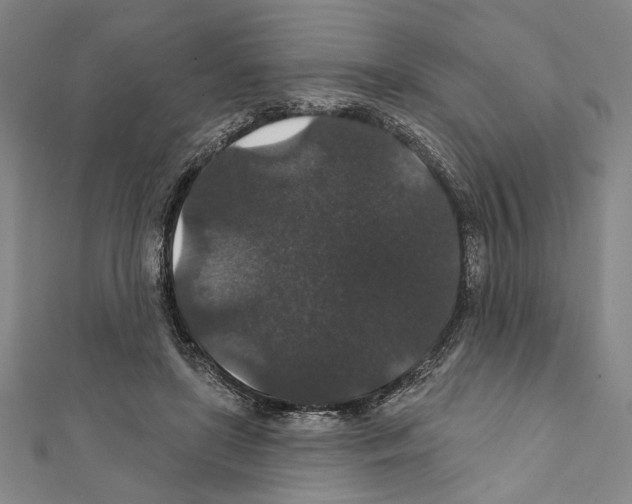 X0000111590451200908271012