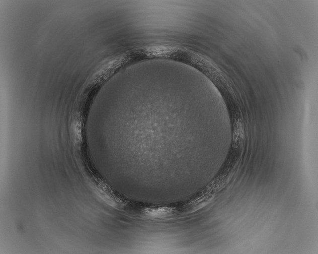 X0000111590452200908271012